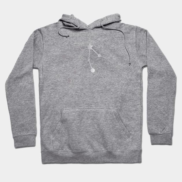 Aquarius Zodiac Constellation in Silver Hoodie by Kelly Gigi